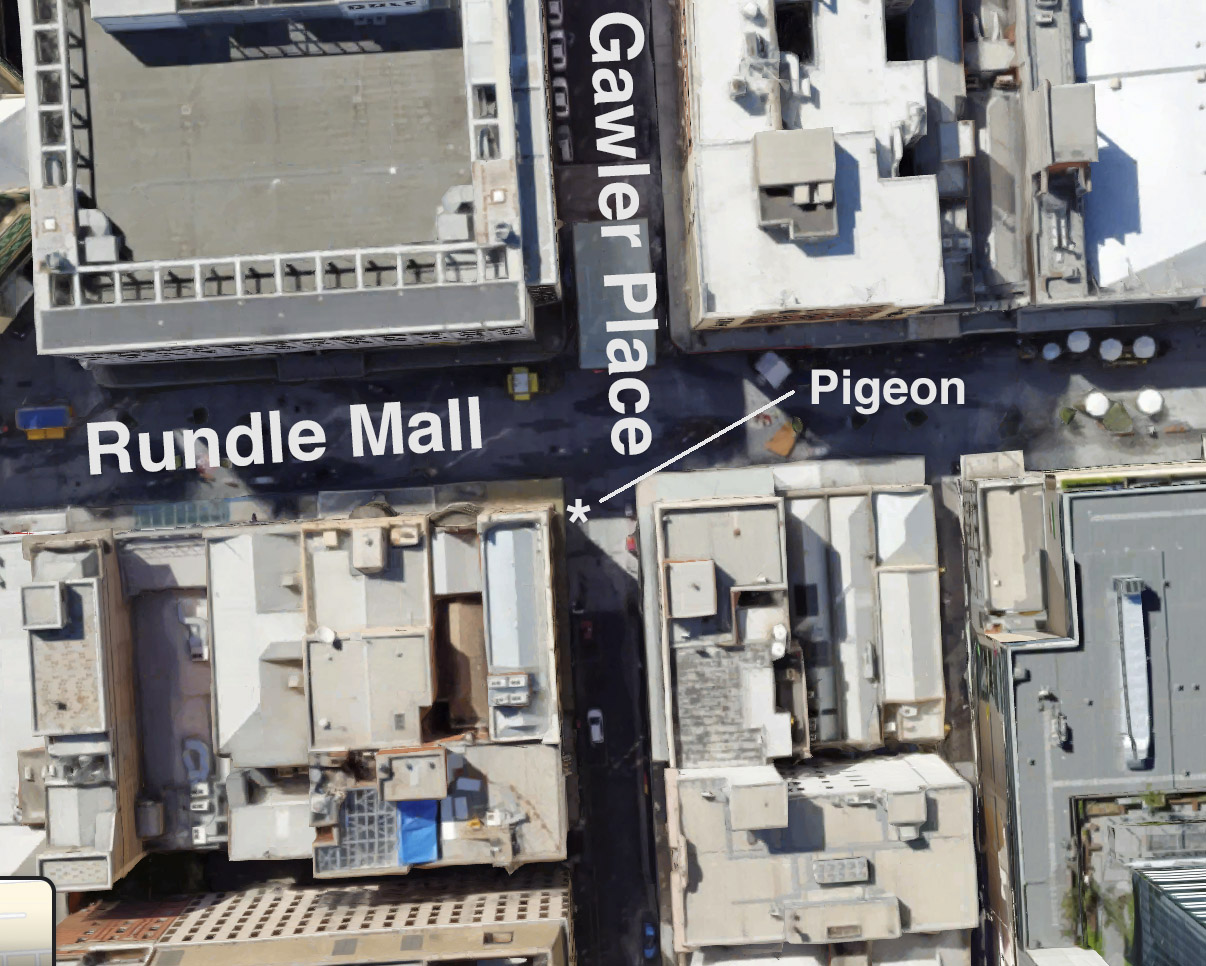 pigeonmap