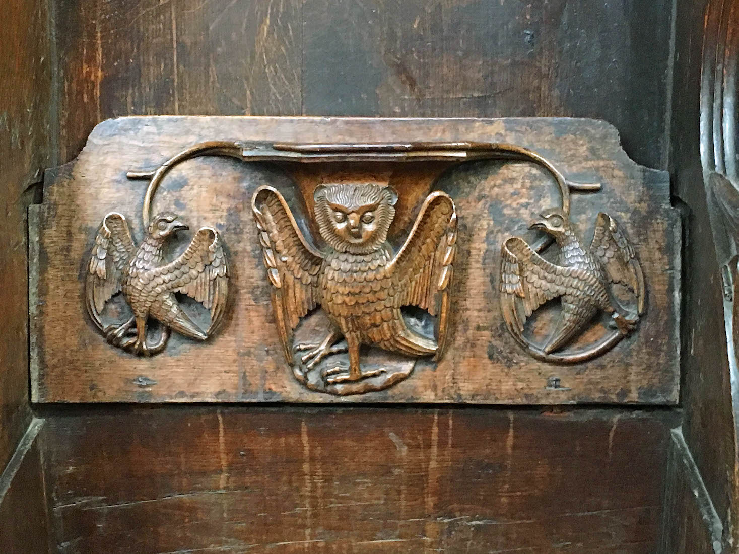 OwlMisericord