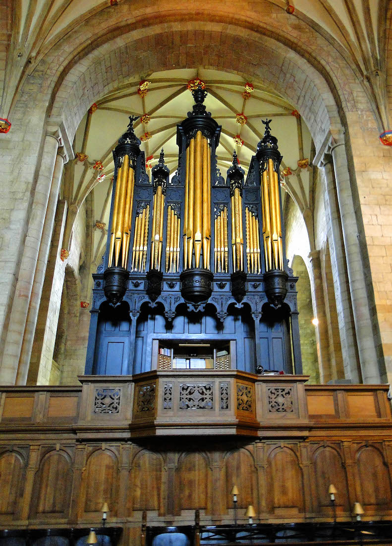 Organ