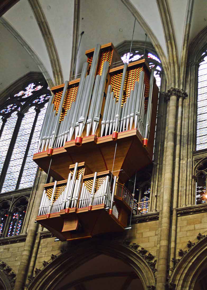 Organ